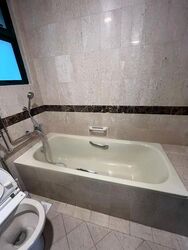 The Bencoolen (D7), Apartment #462872171